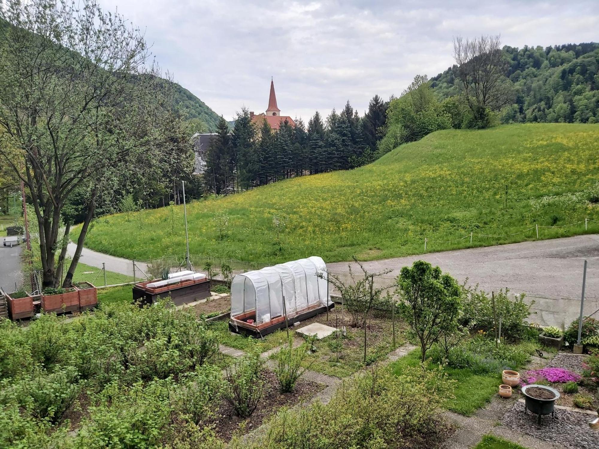 Apartment St. Nikola Sankt Nikola an der Donau Buitenkant foto